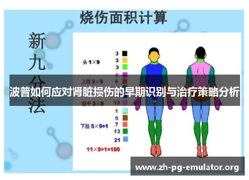波普如何应对肾脏损伤的早期识别与治疗策略分析 波普如何应对肾脏损伤的早期识别与治疗策略分析