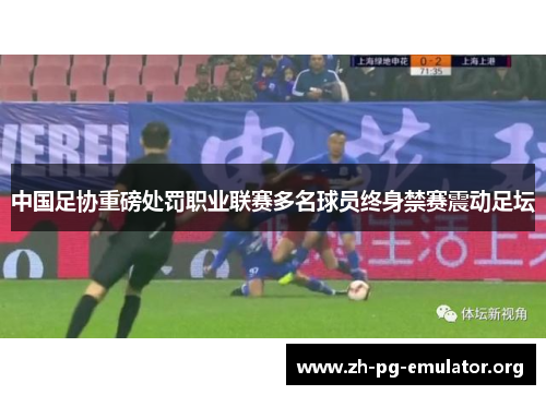 中国足协重磅处罚职业联赛多名球员终身禁赛震动足坛