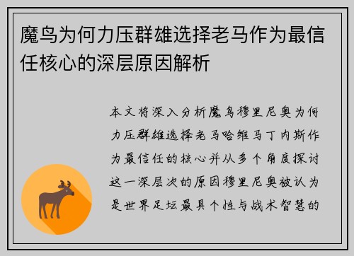 魔鸟为何力压群雄选择老马作为最信任核心的深层原因解析