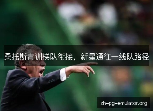 桑托斯青训梯队衔接，新星通往一线队路径